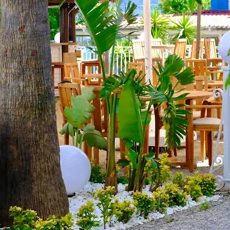 Hawaii Hotel 4*